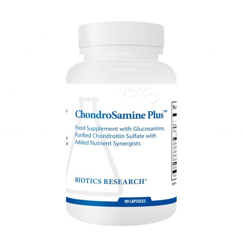 ChondroSamine Plus x 90 Capsules