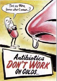 Antibiotics May Cause Gut Related Disease
