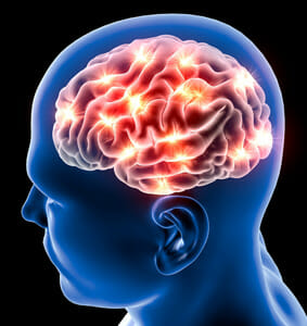 B Vitamins Slow Brain Shrinkage