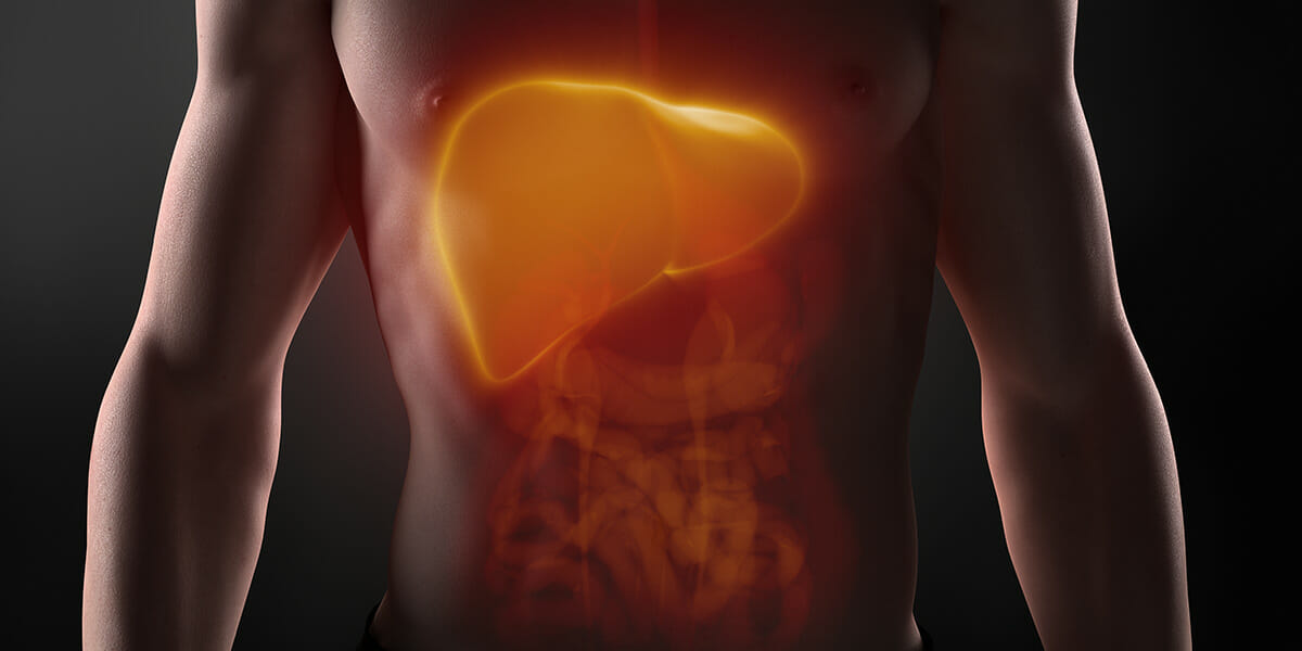 The Gut-Liver Axis