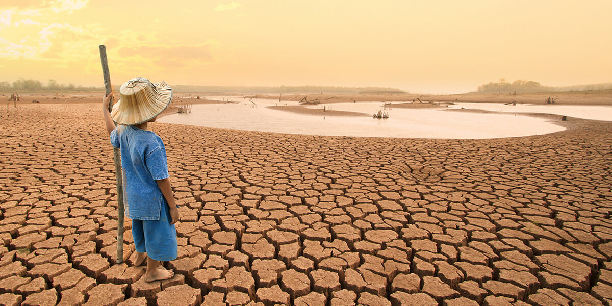 NCDs And Their Relationship to Our Environment