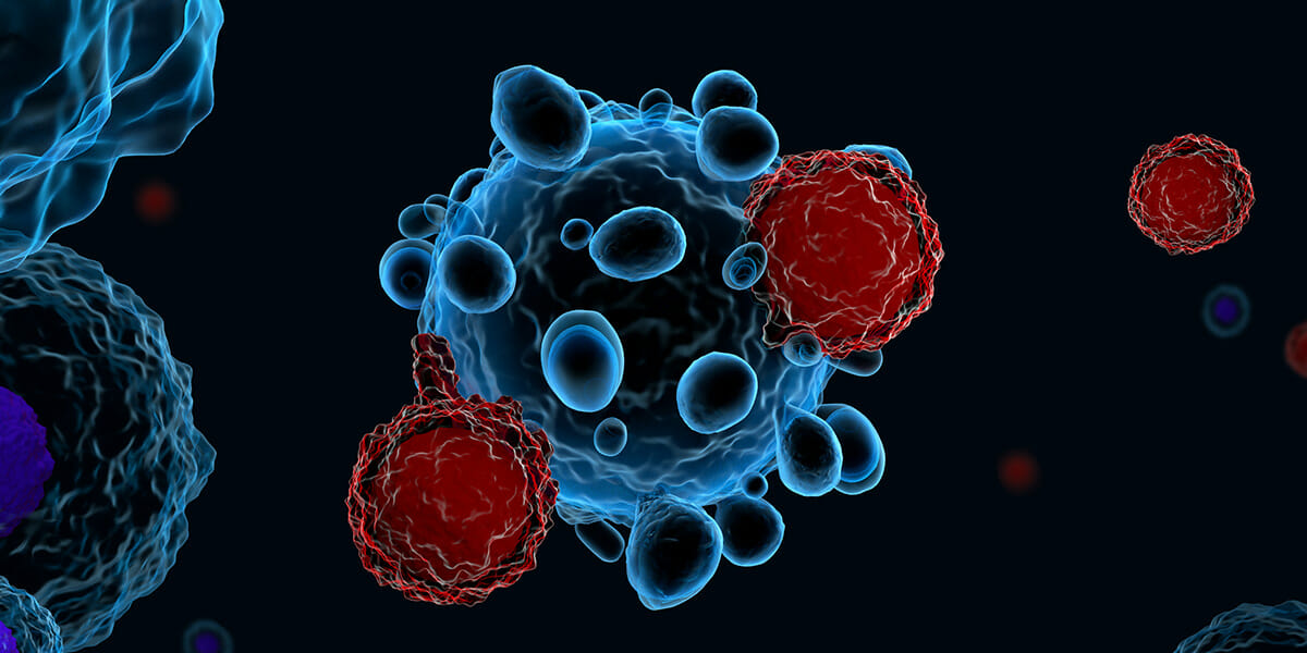 Why our immune systems are so flexible