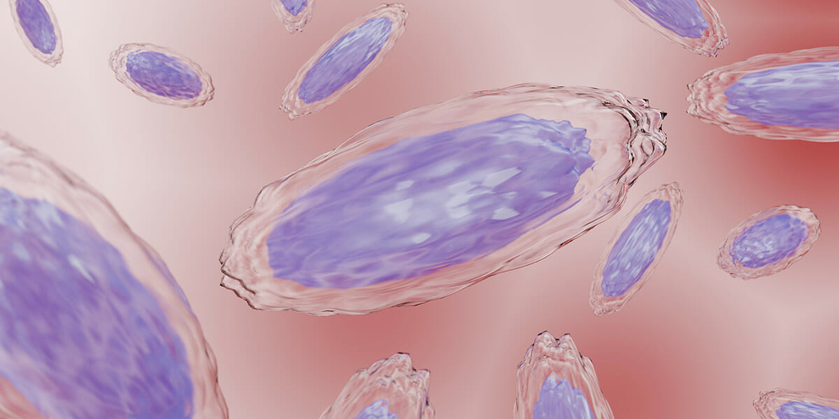 Akkermansia to the rescue