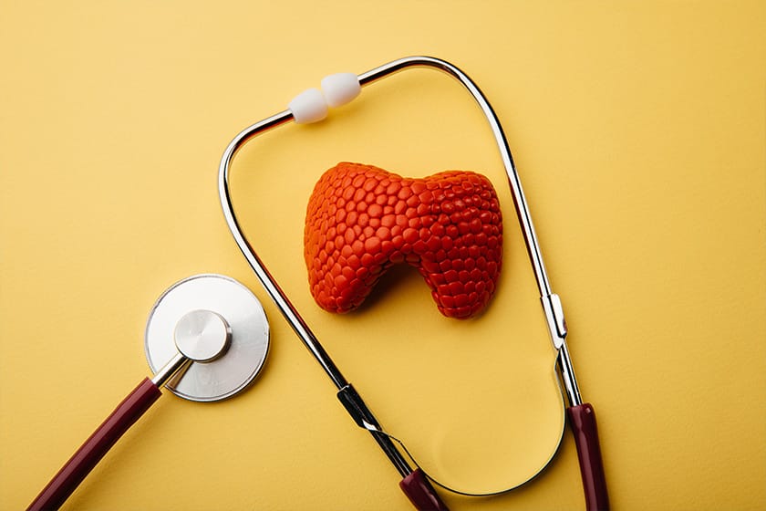 Thyroid health and immunity