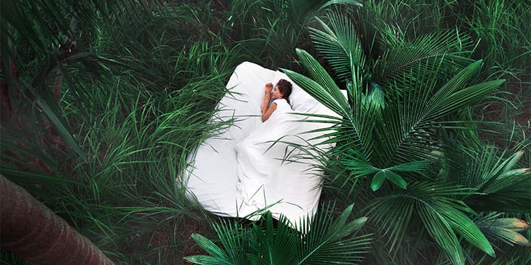 Sleep – Why, How and Help