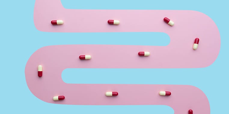 Immunity and Metabolism