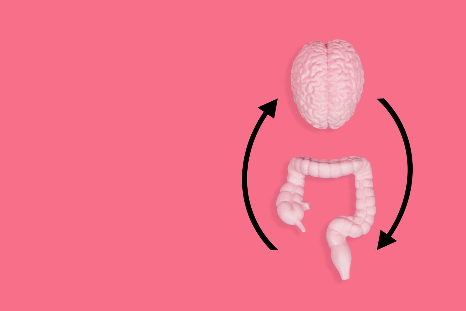 The Gut-Brain Connection: Advancing Health Through Nutrition