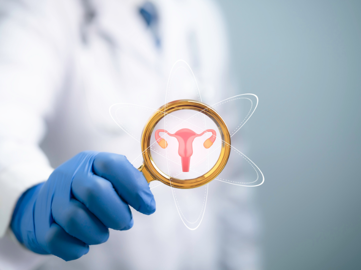 PMOS (Polyendocrine Metabolic Ovarian Syndrome), a Functional Approach.