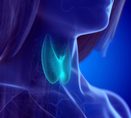 Thyroid Health Through a Whole‑Systems Lens