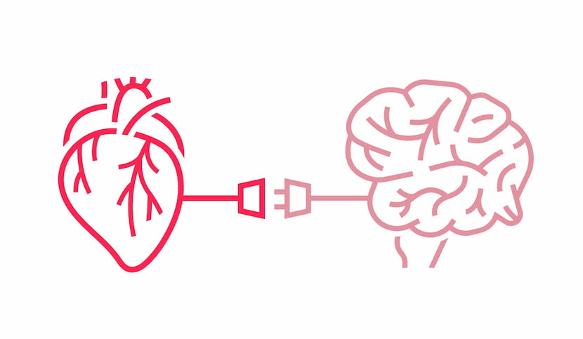 Illustration of the heart-brain connection showing communication between the nervous system, stress response and cardiovascular health