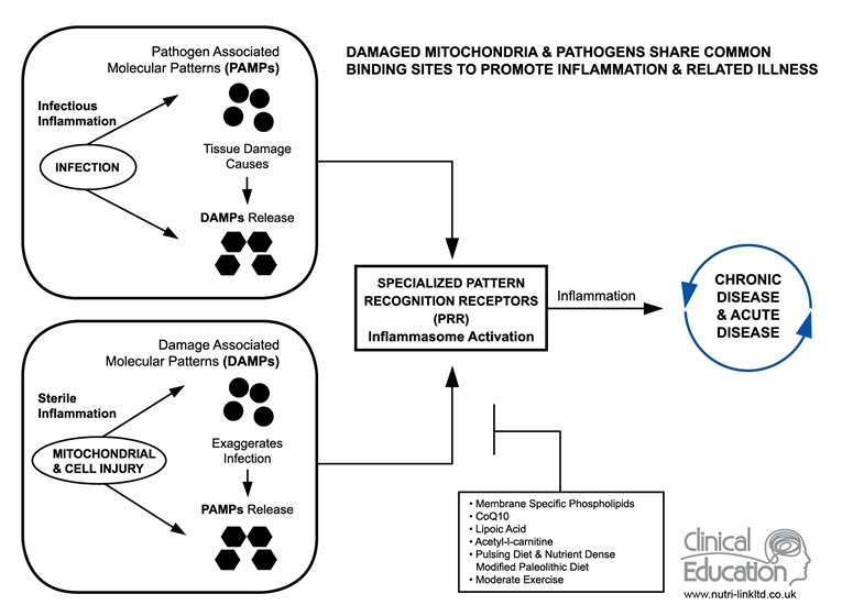 PAMPS - DAMPS Diagram ARG
