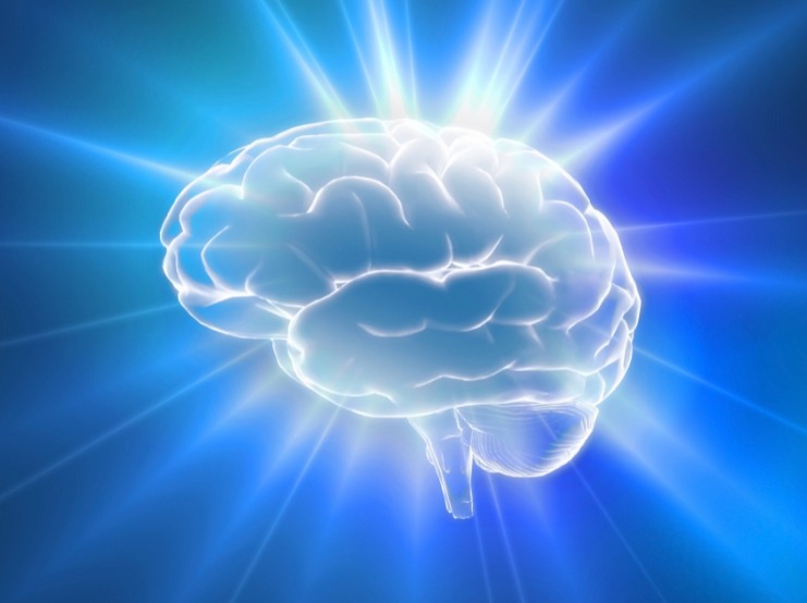 Image of brain illuminated to represent brain power