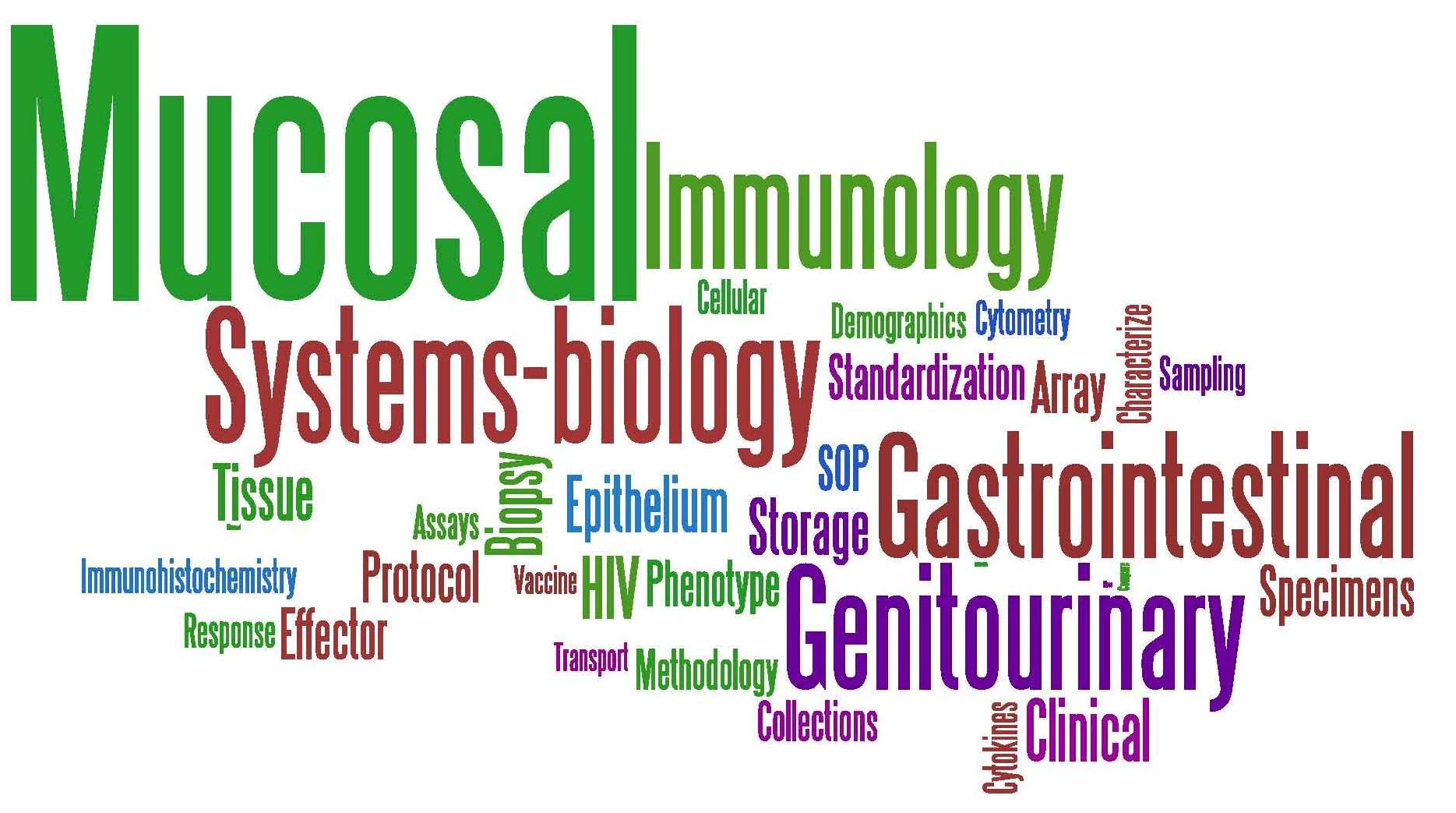 mucosal wordle selection