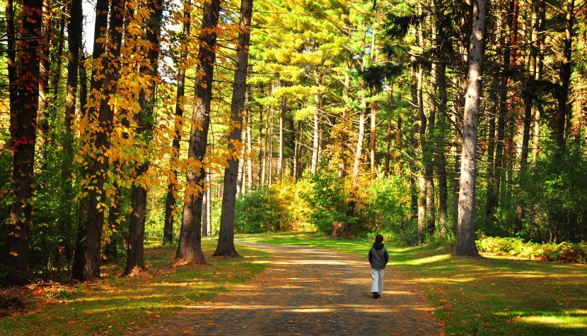 Person walking along a woodland path in autumn, supporting lung health, healthy breathing and respiratory wellbeing